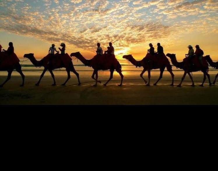 F368FDE6-9F11-4AB4-8983-1FC58317148C