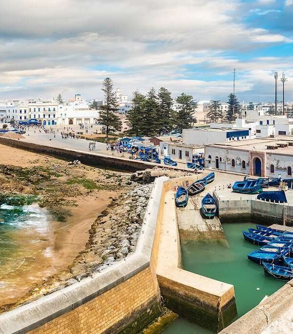 WhatsApp Image 2026-03-26 at 03.26.36