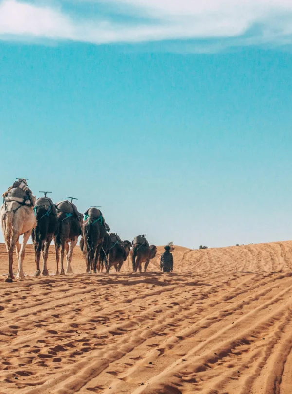 pexels-abdelaziz-4694813