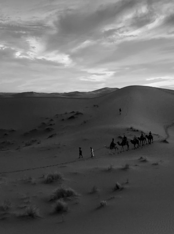 pexels-mographe-30283744