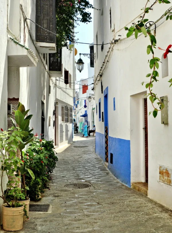 pexels-mographe-9373569