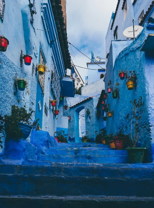 pexels-rickyrecap-1563277